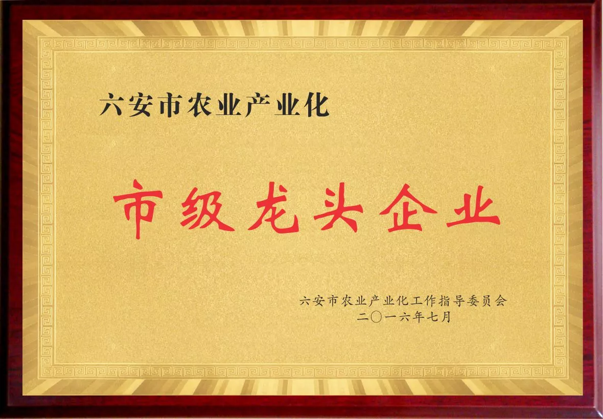 10市级农头企业.jpg