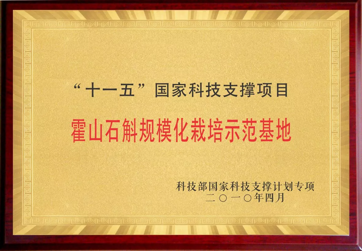 02十一五国家支撑项目.jpg
