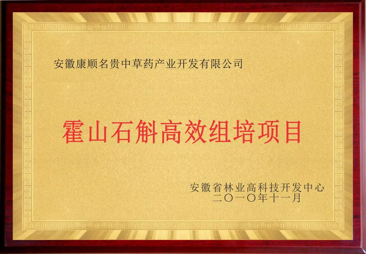 04霍山石斛高效组培项目.jpg